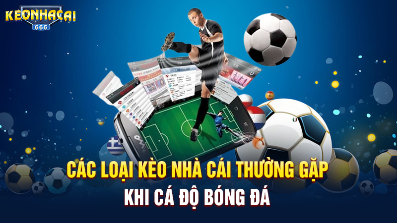 Kèo Nhà Cái Là Gì? Hướng Dẫn Đọc Kèo Nhà Cái Chi Tiết Nhất